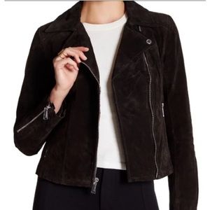 BCBG Generation Chocolate Suede Bikers Moto Jacket Size M
